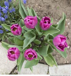 Photo of Mixed Textures